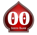 
00 Seeds™ – Premium Cannabis Seeds from...