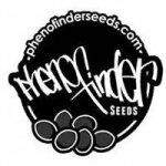 Pheno Finder Seeds – Premium Cannabis-Genetik...