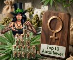 Top 10 Autoflowering Samen &ndash; Die besten...