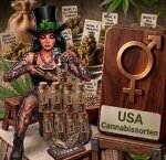 Top 10 USA Cannabissorten &ndash; Die besten...