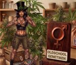 In der Kategorie Oldschool Genetiken...