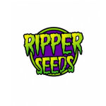 
Ripper Seeds – Premium Feminized Cannabis...