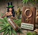 Feminisierte Hanfsamen