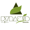 Pyramid Seeds
