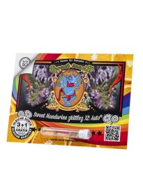 Sweet Seeds Sweet Mandarine Zkittlez XL AUTO - 3...