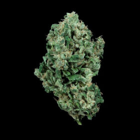DNA Genetics Kandy Kush - 5 feminized seeds