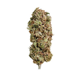 Royal Queen Seeds AMG - Amnesia Mac Ganja - 3 feminized seeds