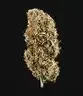 Royal Queen Seeds Cookies Gelato AUTO - 3 autoflowering...