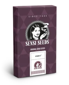 Sensi Seeds Afghani #1 - 3 feminized seeds