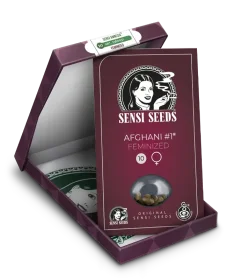 Sensi Seeds Afghani #1 - 3 feminized seeds