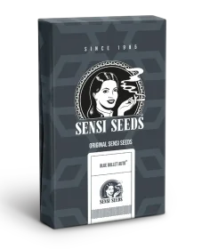 Sensi Seeds Blue Bullet Automatic - 3 autoflowering seeds