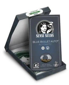 Sensi Seeds Blue Bullet Automatic - 3 autoflowering seeds