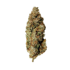 Royal Queen Seeds Royal Runtz - 3 feminisierte Samen