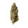 Royal Queen Seeds Royal Runtz - 3 feminisierte Samen
