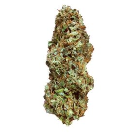 Royal Queen Seeds Special Kush #1 - 3 feminized seeds