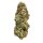 Royal Queen Seeds Special Kush #1 - 3 feminized seeds