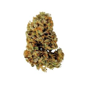 Royal Queen Seeds White Widow AUTO - 3 autoflowering seeds