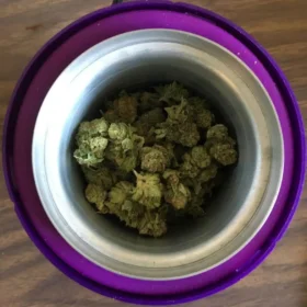 Ardent Nova dry herb infuser 220V