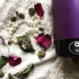 Ardent Nova dry herb infuser 220V