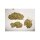 Dutch Passion Skunk #1 REGULAR - 10 regular seeds