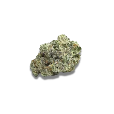 Growers Choice MAC1 AUTOFLOWER 3+1 automatisierte Samen