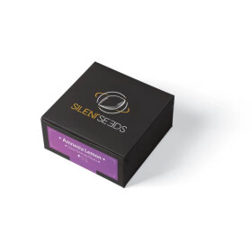 Silent Seeds Amnesia Lemon - 3 feminized seeds