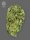 The Bulldog Seeds Sour Diesel REGULAR - 3 regular seeds