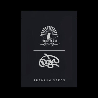 Doja RS54 x Coffin Candy REGULAR - 10 regular seeds