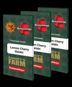 Barneys Farm Lemon Cherry Gelato - 5 feminized seeds