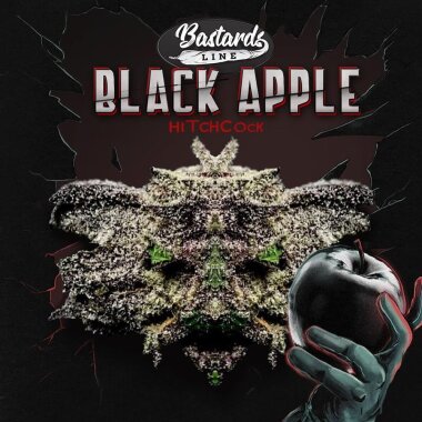 T.H. Seeds Black Apple Hitchcock - 6 feminisierte Samen