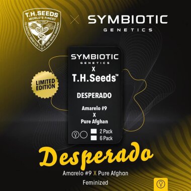 T.H. Seeds X Symbiotic Genetics Desperado - 6 feminized seeds
