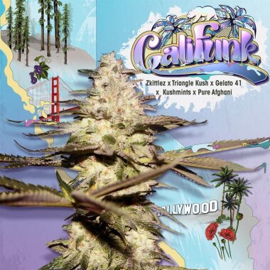 T.H. Seeds CaliFunk - 6 feminized seeds