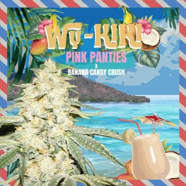 T.H. Seeds Wy-Kiki - 6 feminized seeds