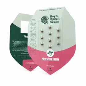 Royal Queen Seeds Mexican Rush - 3 feminisierte Samen