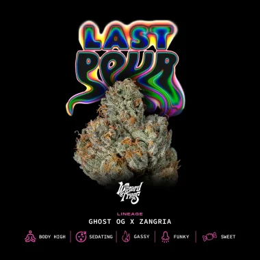 Wizard Trees Genetics Last Pour - 3 feminized seeds