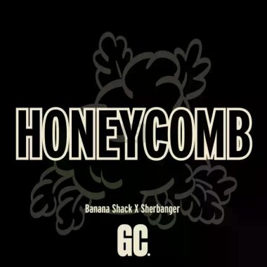 Grand CRU Honeycomb - 3 feminisierte Samen