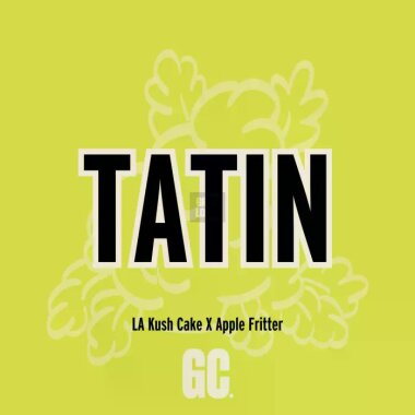 Grand CRU Tatin - 3 feminisierte Samen