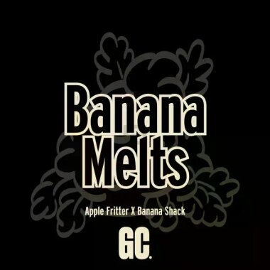 Grand CRU Banana melts - 12 feminisierte Samen