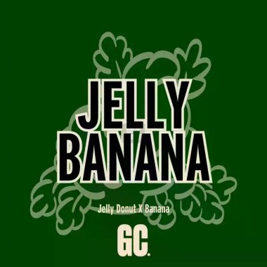 Grand CRU Jelly Banana - 3 feminisierte Samen