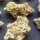 Tramuntana Seeds Biscotti - 3 feminisierte Samen