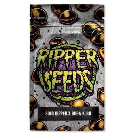 Ripper Seeds Sour Ripper x Bubba Kush LIMITED EDITION - 3 feminisierte Samen