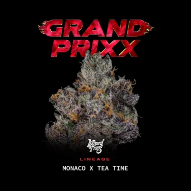 Wizard Trees Genetics Grand Prixx - 3 feminisierte Samen