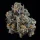 Wizard Trees Genetics Top G - 3 feminisierte Samen