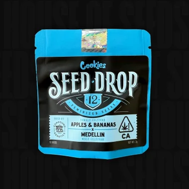 Compound Genetics Medellin x Apples n Bananas - 12...