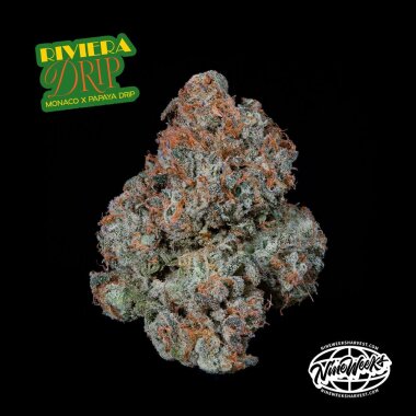 Nine Weeks Harvest Riviera Drip - 3 feminisierte Samen