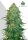AutoSeeds Durban Poison Auto - 3 feminisierte Samen