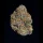 Wizard Trees Genetics Potion - 3 feminisierte Samen