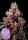 Anesia Seeds Soda Rose AUTO - 3 autoflowering Samen