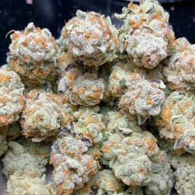 In House Genetics Slurricane #7 S1 - 3 feminisierte Samen