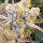 In House Genetics Sugar Cane - 3 feminisierte Samen